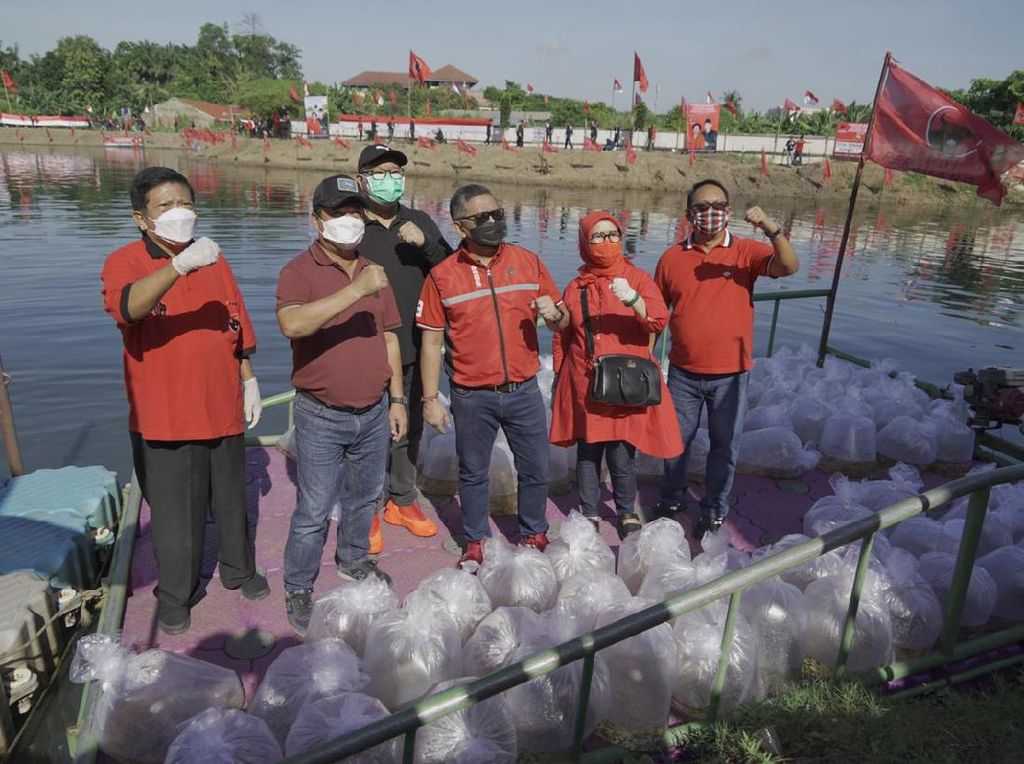 KKP Salurkan Bantuan 180 Ribu Benih Ikan Air Tawar di Jakarta Selatan