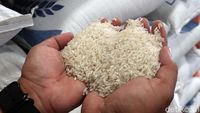 10 Negara dengan Harga Beras Paling Mahal, Ada Indonesia?