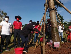 Galakkan Program Penghijauan, PDIP Tanam 300 Pohon di Hutan GBK