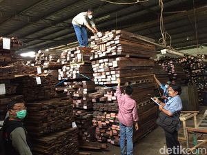 Kepemilikan Kayu Ilegal, Gakkum KLHK Jabalnusra Amankan Dua Tersangka
