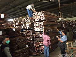Kepemilikan Kayu Ilegal, Gakkum KLHK Jabalnusra Amankan Dua Tersangka