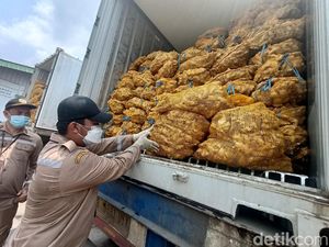 Kisah Pilu Anak Petani Jahe, Orang Tua Rugi-Berutang Gegara Impor Kisah Pilu Anak Petani Jahe, Orang Tua Rugi-Berutang Gegara Impor