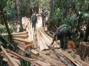 Satgas Pamtas TNI Temukan 89 Kayu Ilegal Tak Bertuan di Kalbar