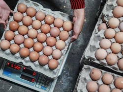 BRI Majukan Peternak Ayam Telur di Blitar Lewat Ekosistem Digital