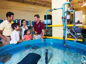 Foto: Ini Rumah Sakit untuk Ikan di Dubai