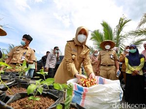 Bupati Ipuk Sesalkan Kasus Cabai Dicat: Itu Tindakan Merugikan Petani