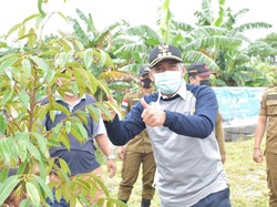 Peringati Hari Air Sedunia, Bupati OKI Galakkan Penanaman Pohon