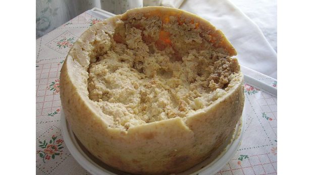 Casu Marzu cheese