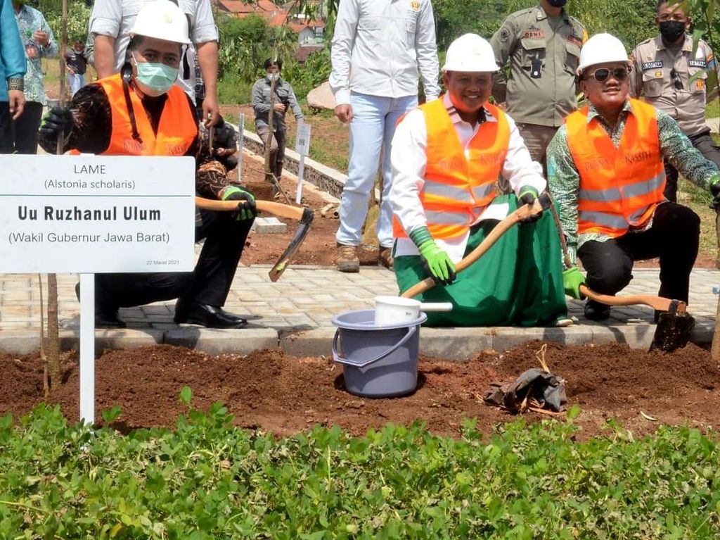 Saat Wagub Jabar Dorong Pembangunan Hutan Kota Saat Wagub Jabar Dorong Pembangunan Hutan Kota