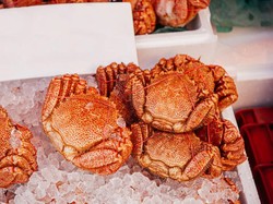 Fakta Kepiting Kegani Seharga Rp 5 Juta yang Diulas Sisca Kohl