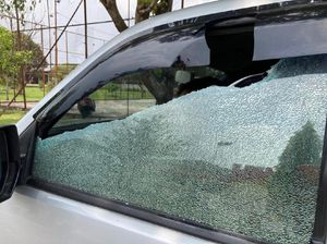 Polisi Periksa 3 Saksi Penyerangan Petugas BKSDA Sumut Saat Sita Orang Utan