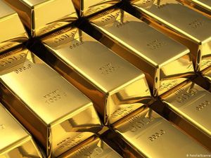 Museum Jerman Eksplorasi Dampak Keserakahan Manusia