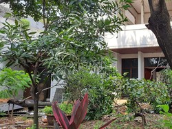 Otak Pencurian Rumah Mewah di Kedoya Jakbar Ditangkap!