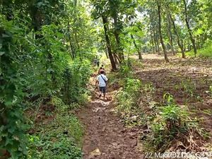 Tolong! 2 Bocah Hilang Diduga Saat Cari Bunglon di Hutan Pemalang