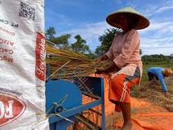 NTP & NTUP Naik, Kementan: Pertanda Baik bagi Kesejahteraan Petani