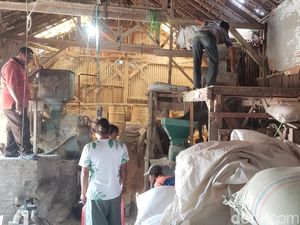 Harga Anjlok, Petani dan Pedagang Beras di Probolinggo Merana