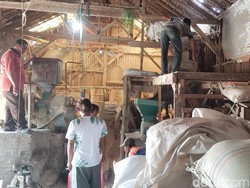 Harga Anjlok, Petani dan Pedagang Beras di Probolinggo Merana