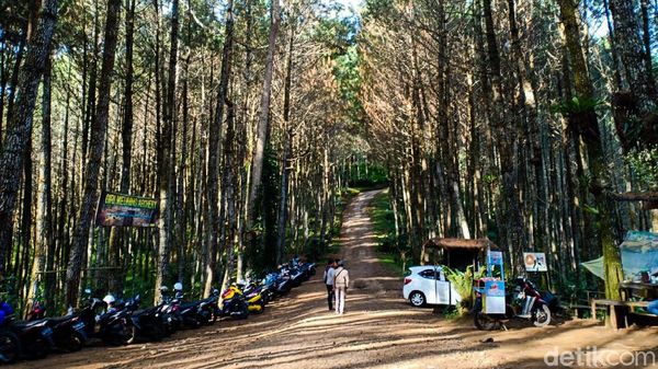 Foto: 5 Destinasi Wisata Alam Cantik di Bandung Barat