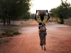 Fakta! Manusia 300 Kali Lebih Mematikan daripada Hiu