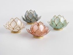 Modal Kulit Kerang Bisa Dapat Rp 70 Juta! Mau Coba?