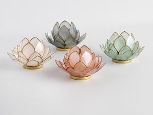 Modal Kulit Kerang Bisa Dapat Rp 70 Juta! Mau Coba? Modal Kulit Kerang Bisa Dapat Rp 70 Juta! Mau Coba?