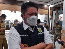 Soal Impor Beras, Gubernur Sumsel: Kita Limpah Ruah, Produksi Jutaan Ton