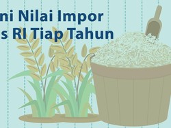 Segini Nilai Impor Beras RI Tiap Tahun