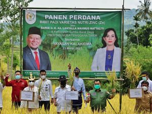 Ketua DPD Sebut Masalah RI Bukan Kekurangan Beras, tapi... Ketua DPD Sebut Masalah RI Bukan Kekurangan Beras, tapi...