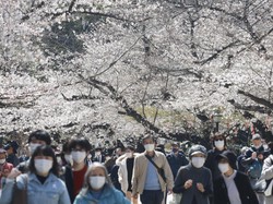 PM Jepang Ambil Tindakan Antisipasi Hadapi Mutasi Corona Eek