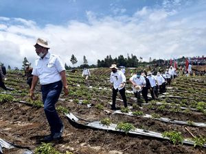 Hasil Food Estate Humbahas Memuaskan, Luhut Minta Lahan Diperluas