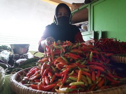 Jelang Idul Adha, Kementan Optimistis Stok dan Harga Cabai Stabil