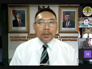 KLHK Tetapkan Penghentian Izin Hutan-Lahan Gambut 66,18 Juta Ha