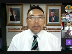 KLHK Tetapkan Penghentian Izin Hutan-Lahan Gambut 66,18 Juta Ha