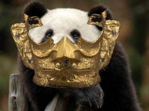 Deretan Meme Topeng Emas Berusia 3.000 Tahun, Mana yang Terkocak?