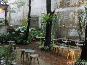 Adem Banget! Di Bogor Bisa Ngopi Santai di Bawah Pohon Pinus