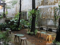 Adem Banget! Di Bogor Bisa Ngopi Santai di Bawah Pohon Pinus