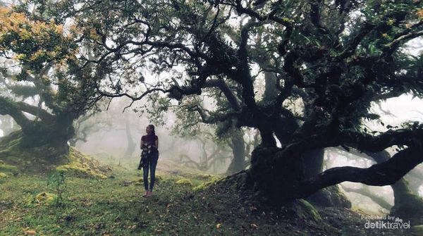Desa Fatumnasi Membuat Kalian Merasa di Negeri Dongeng