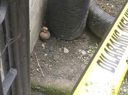 Cari Kelereng di Parit, Anak-anak di Medan Temukan Granat