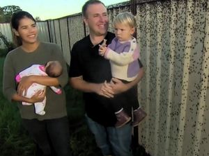 Australia Banjir, Ribuan Laba-laba Ikut Ngungsi