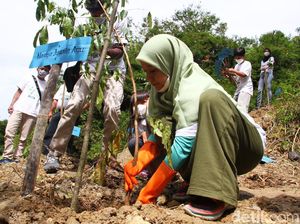 Melihat Aksi Tanam Sejuta Pohon di Lahan Longsor