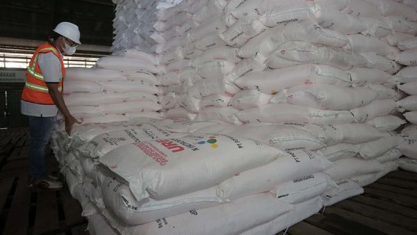 Melihat Stok Pupuk untuk Musim Tanam Pertama 2021