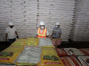 Industri Pupuk Aman-aman Saja Dihantam Pandemi, Kok Bisa?