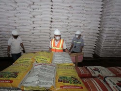 Industri Pupuk Aman-aman Saja Dihantam Pandemi, Kok Bisa?