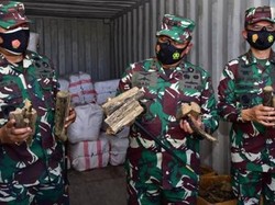 TNI AL Tangkap Kapal Muatan Kayu Gaharu dan Cokelat Ilegal di Seram