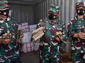 TNI AL Tangkap Kapal Muatan Kayu Gaharu dan Cokelat Ilegal di Seram TNI AL Tangkap Kapal Muatan Kayu Gaharu dan Cokelat Ilegal di Seram