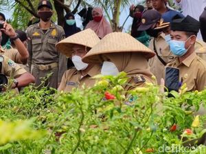 Banyuwangi Bangun Smart Green House Cabai Rawit Antisipasi Harga Melonjak Lagi