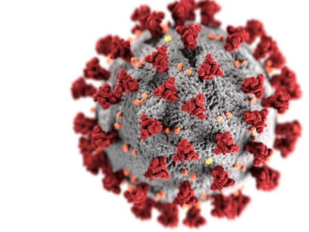 Prediksi WHO Soal Mutasi Virus Corona Setelah Omicron Prediksi WHO Soal Mutasi Virus Corona Setelah Omicron