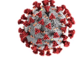 Prediksi WHO Soal Mutasi Virus Corona Setelah Omicron Prediksi WHO Soal Mutasi Virus Corona Setelah Omicron