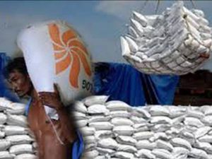 Jika Pasokan Kementan ke Bulog Kurang, Siap-siap Banjir Beras Impor!