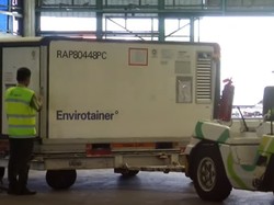 16 Juta Bahan Baku Vaksin Sinovac Tiba di Indonesia